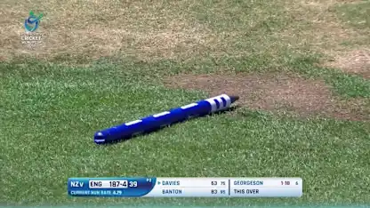 Logo of Davies is bowled by Georgeson on 63
