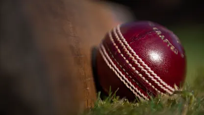 Logo of generic ball, bat