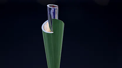 Logo of Women's T20 World Cup trophy