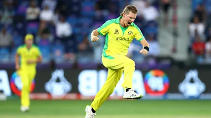 Logo of Zampa delivers yet again