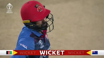 Logo of Mohammad Nabi - Wicket - New Zealand vs Afghanistan