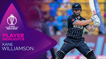 Logo of Captain's knock from Williamson with stirring half-century | CWC23