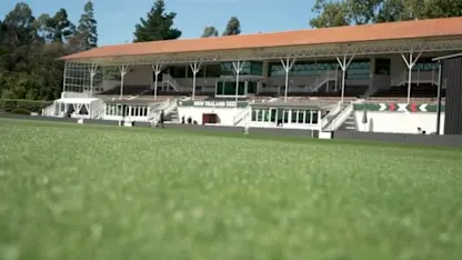 University Oval, Dunedin | CWC22 Venue