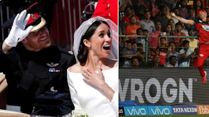 Logo of Royal Wedding, AB de Villiers.