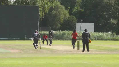 Logo of WT20Q: UAE v PNG extended highlights