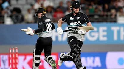 Chapman and Neesham 