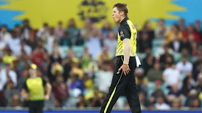 Logo of Adam Zampa