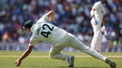 Green-catch