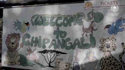 Kings of the jungle: UAE team visit Chipangali Wildlife Orphanage | CWC23 Qualifier