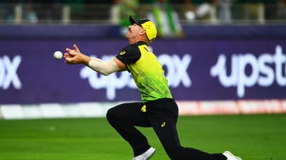 Warner almost pulls off ridiculous catch