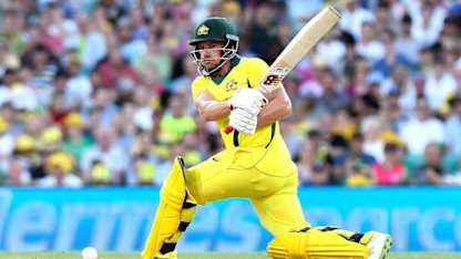 Aaron Finch