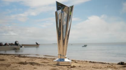 The ICC Men's T20 World Cup Trophy in beautiful PNG!