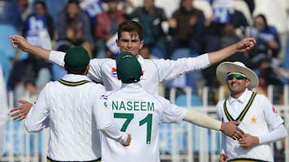 Shaheen