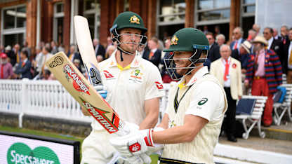Cameron Bancroft, David Warner