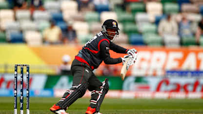 Mohammad Naveed
