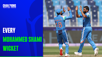 Every Shami 16x9