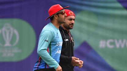 Mohammad Nabi, Rashid Khan