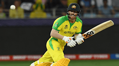 David Warner