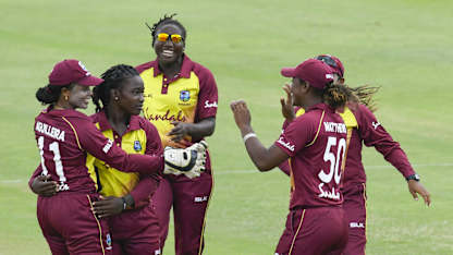 Dottin