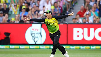 David Warner
