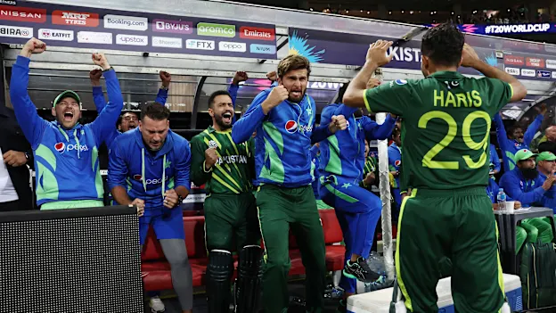 Pakistan vs New Zealand semi-final
