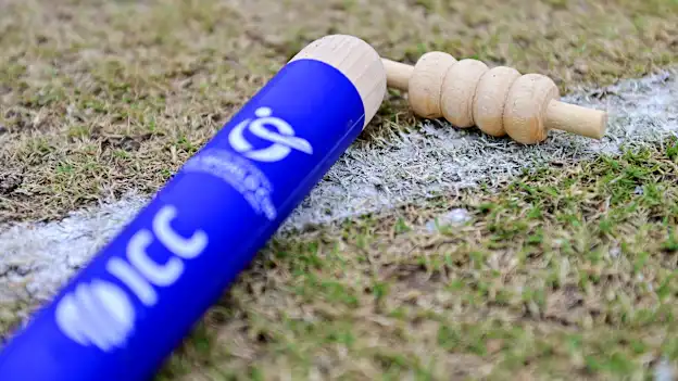 ICC Branded Stumps and Bails