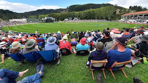 Cricket spectators