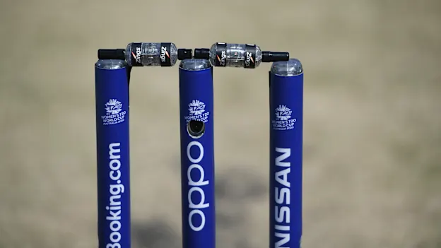 Stumps image