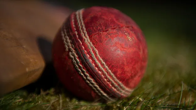 cricket