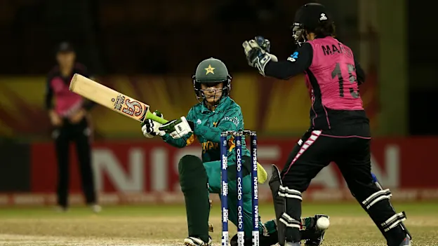 NZ-Pak reax