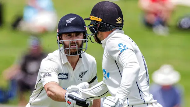 nz williamson