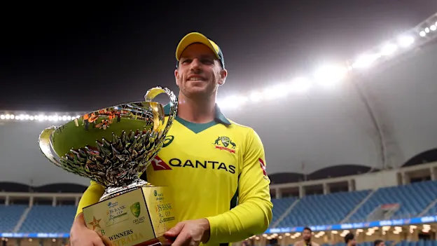 Finch with series cup