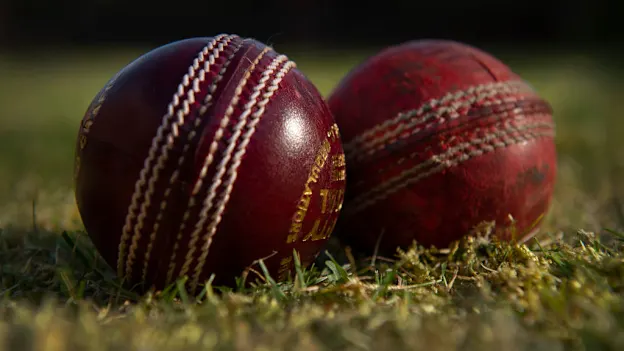 Bowlers will not be allowed to use saliva on the ball