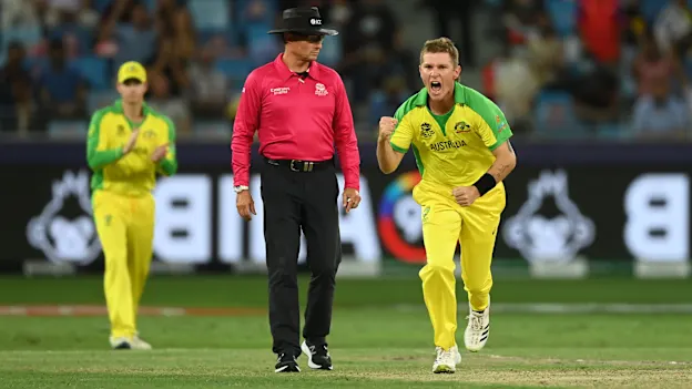 Zampa-more-silverware