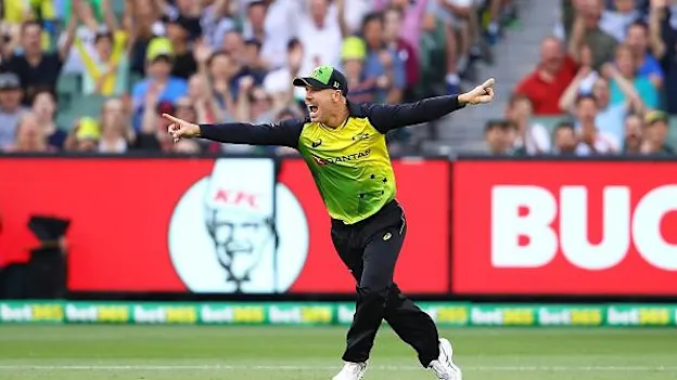 David Warner