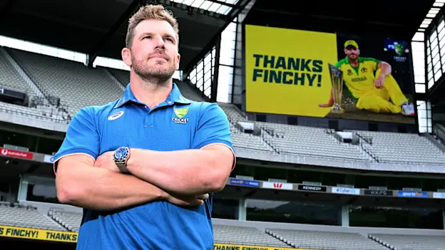 Finch-tribute
