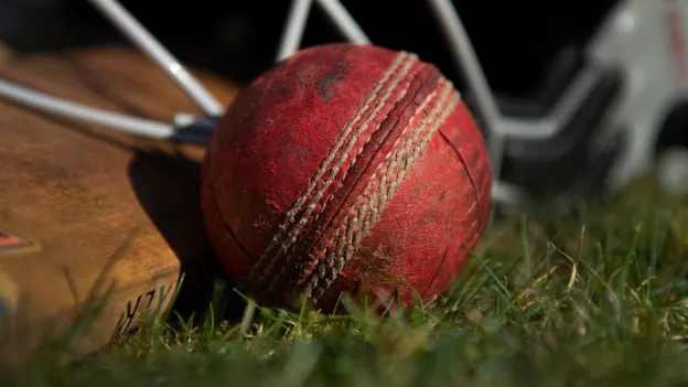 cricket ball