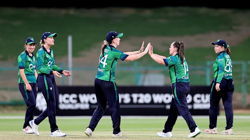 Delany wants Ireland to own the field playing 'their style of cricket
'