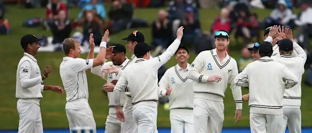 New Zealand celebrating