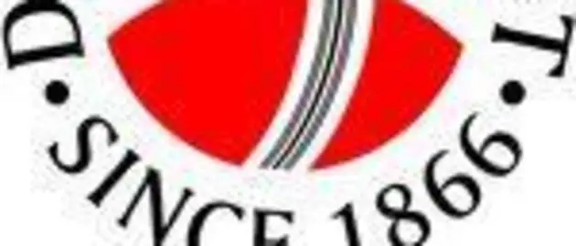 33749 Danish Cricket