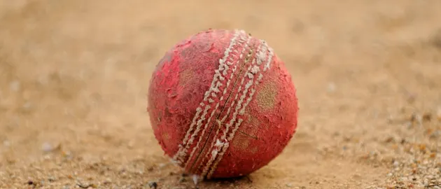 Cricket ball