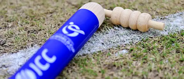 ICC Branded Stumps and Bails