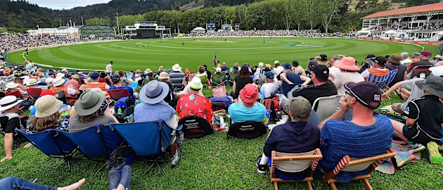 Cricket spectators