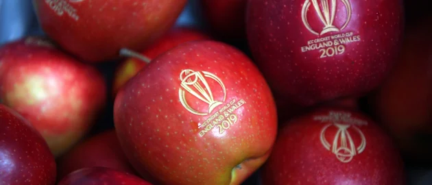 GettyImages-1154369269