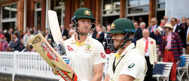 Cameron Bancroft, David Warner