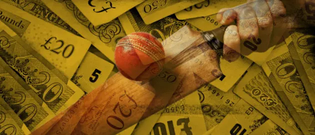 money-cricket-3