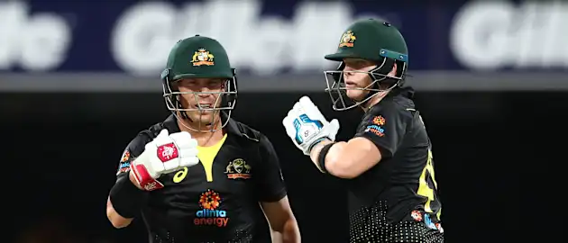 David Warner, Steve Smith