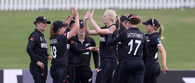 New Zealand players celebrate a wicket