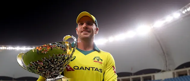 Finch with series cup
