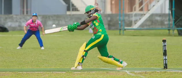 Rachel Andrew - Vanautu 3